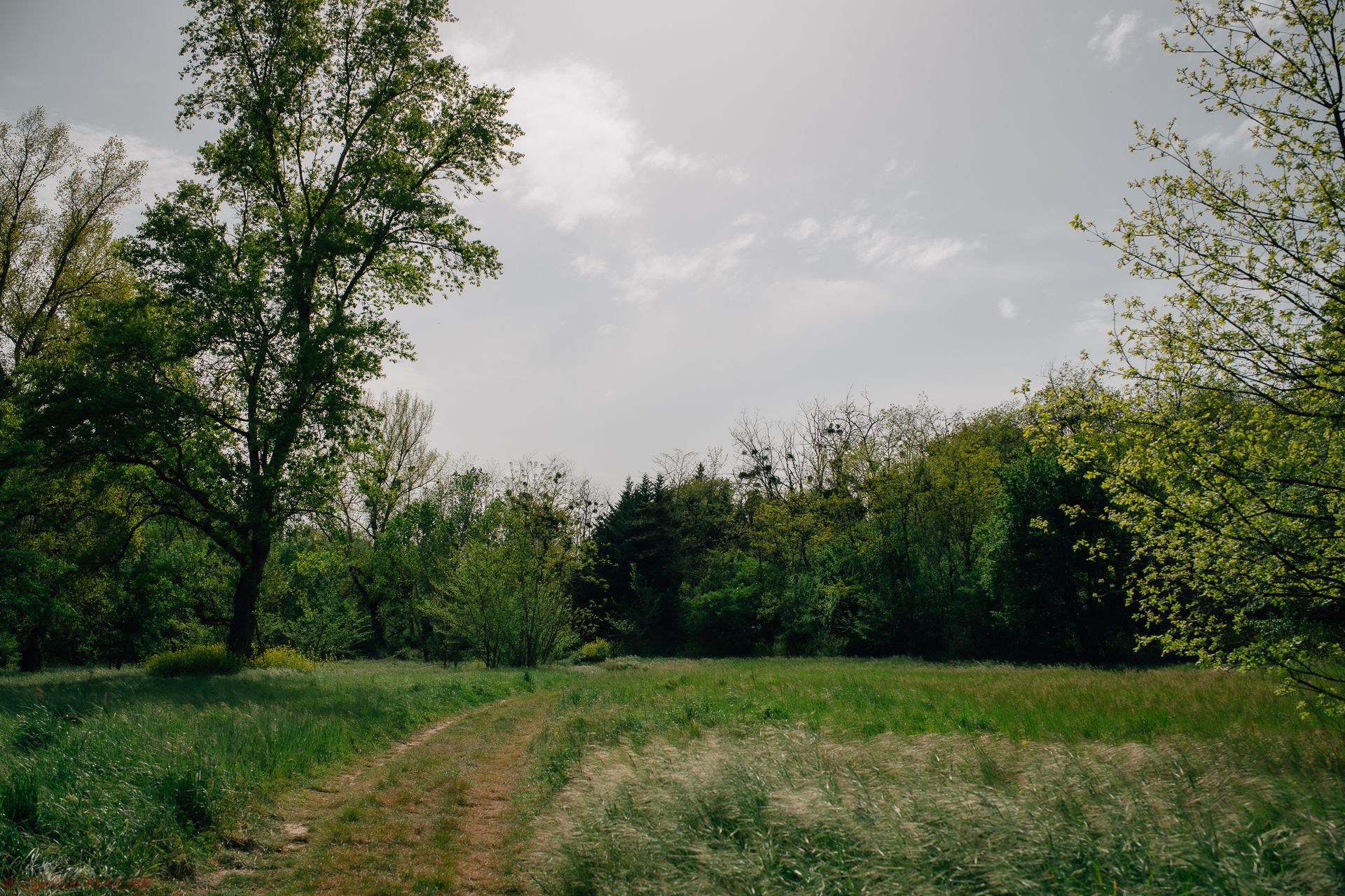 Chemin des bords de Garonne