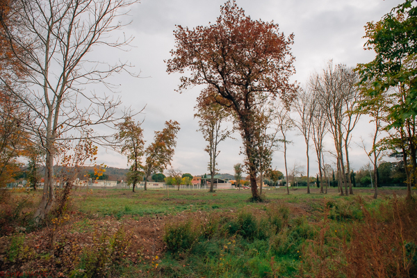 Bois de la Mandre