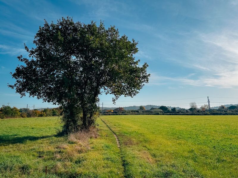 Le chemin de la piste cyclable